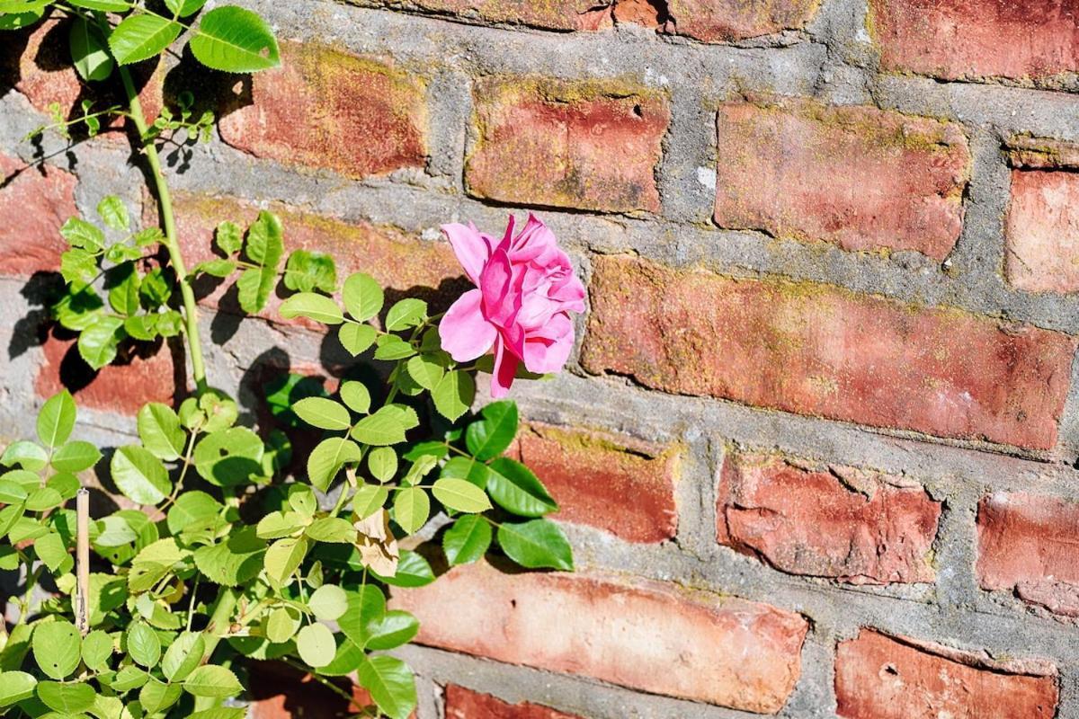 Wald- Und Seeidyll Im Historischen Forsthaus Neuruppin Exterior foto